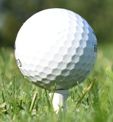 picture of golfball
